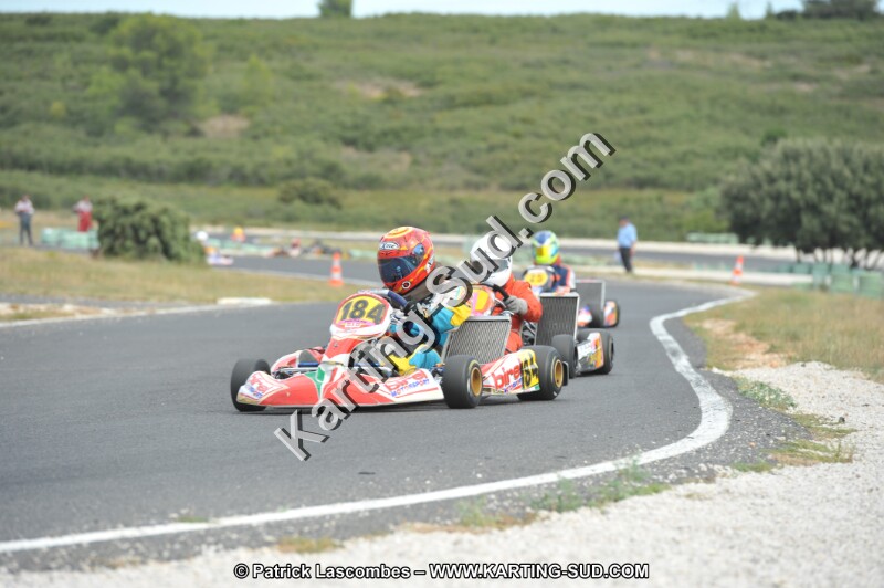 DSC (3524).JPG